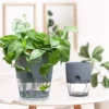 Self Watering Plastic Flower Pot Double Layer Hydroponics Plants Bonsai Pot Vases Succulent Potted Planters Home Office Decor