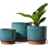 Ceramic Plant Pots