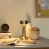 Artistic Decorative Lamp with Touch Control | Rechargeable Battery