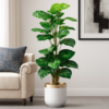 5-Feet Artificial Money Plant – Lush Greenery for Your Home